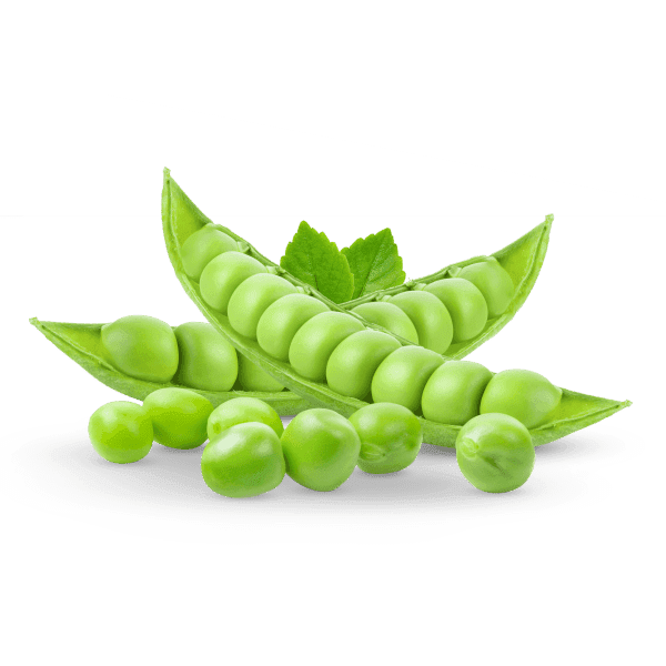 Sweet Green Peas